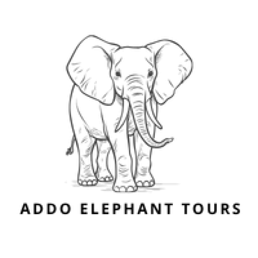 Addo elephant tours